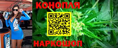 амф Обь