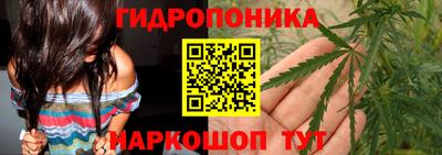 амф Обь