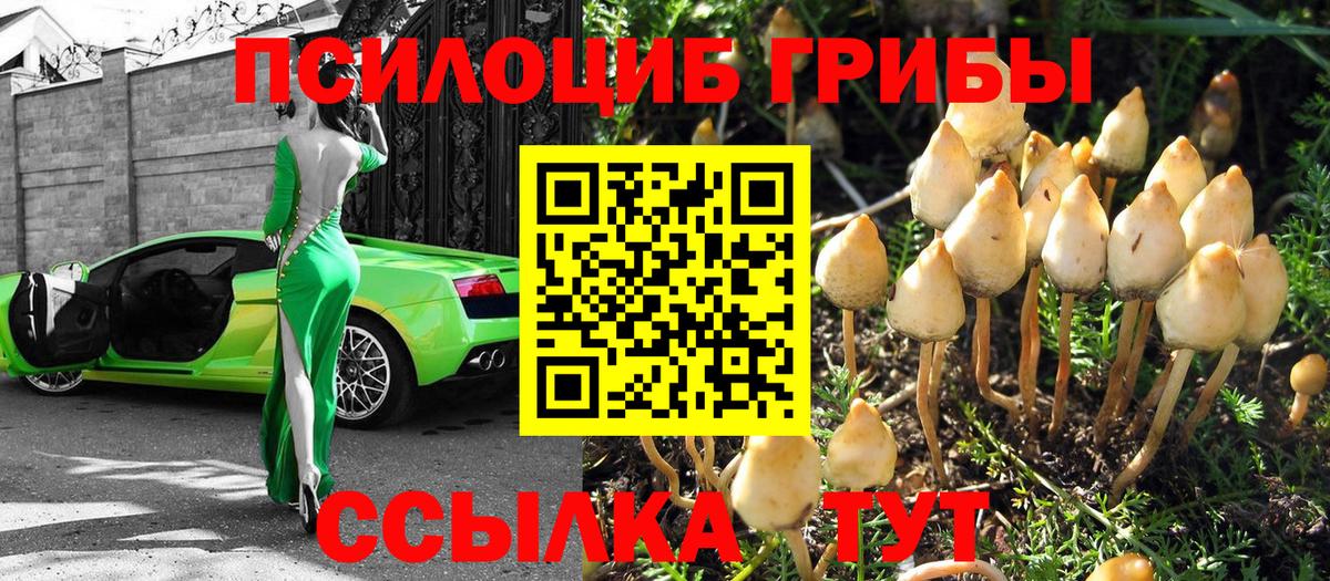 Псилоцибиновые грибы Magic Shrooms Родники
