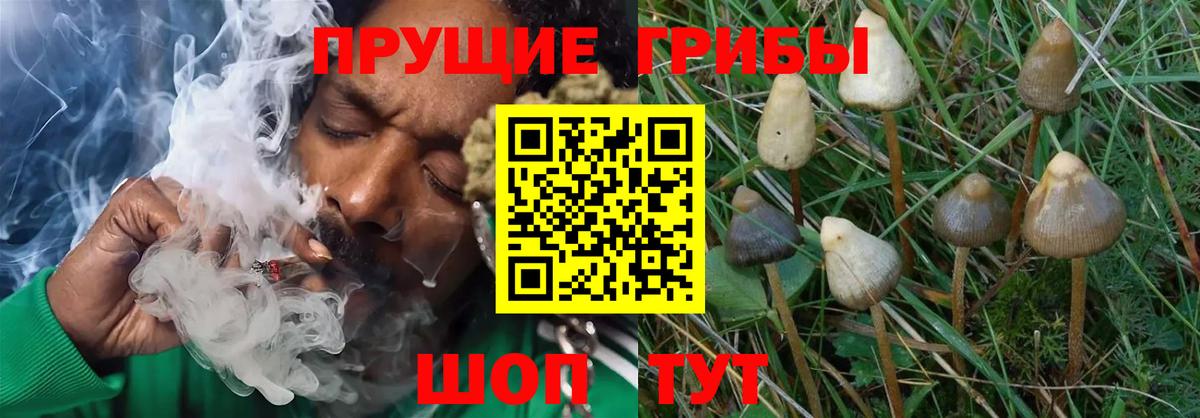 Псилоцибиновые грибы мухоморы  Галлюциногенные грибы мухоморы  Родники  Вход с VPN 